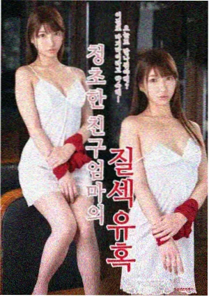 图鉴 老年宠物拍摄示意